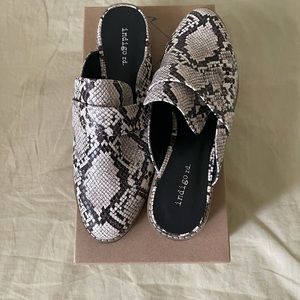 Snake Skin Slides
